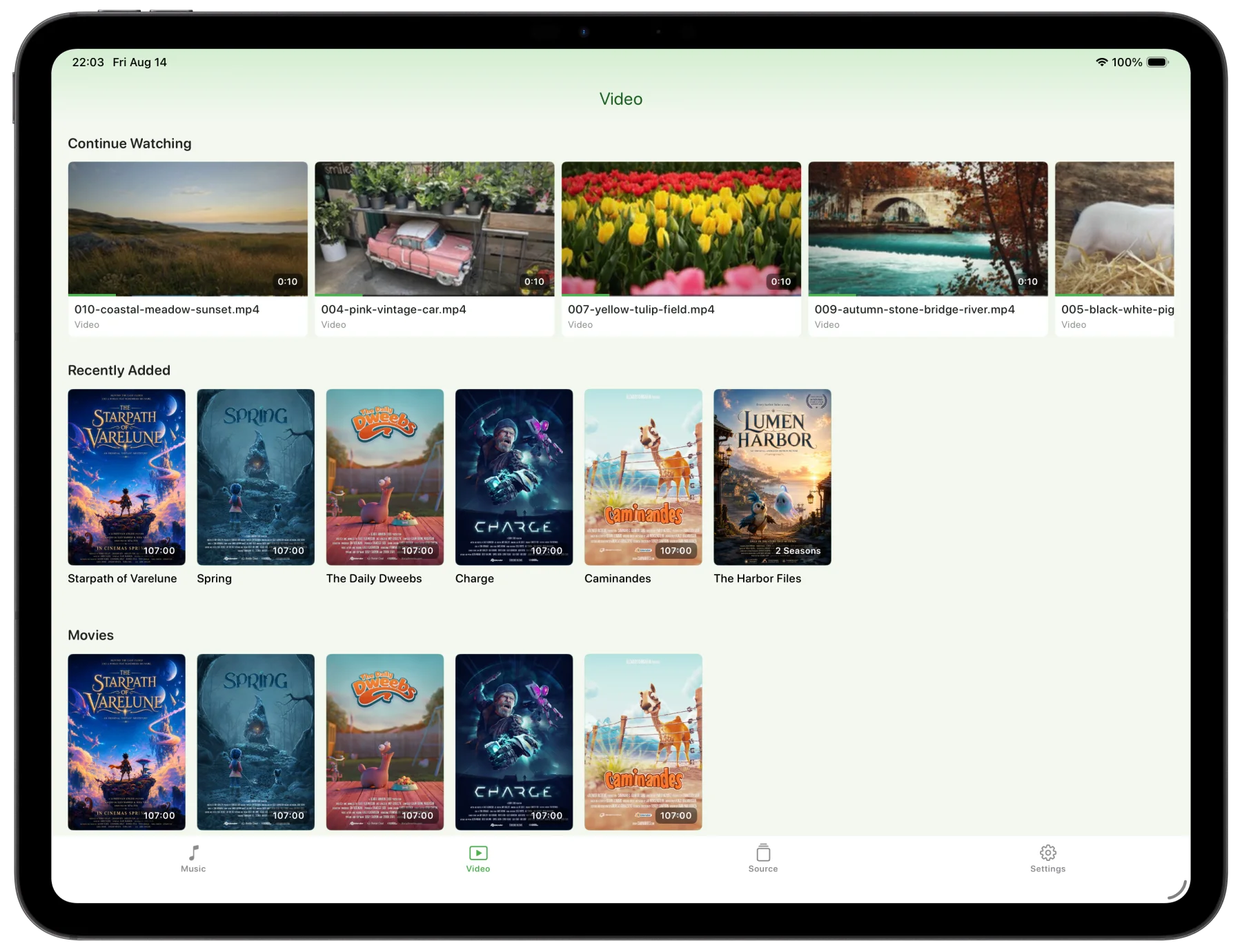 Leaf Player video catalog on iPad with continue watching, recently added, and movie rows